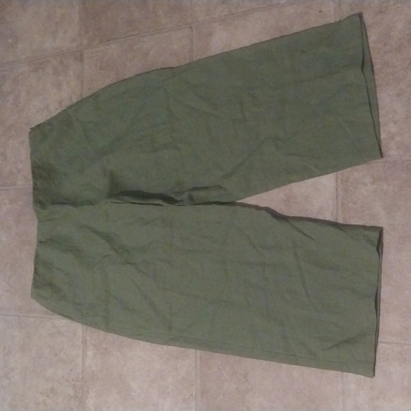 Eileen Fisher Sage Green 100% Irish Linen Side Zip Wide Leg Pants Size L - Picture 1 of 8